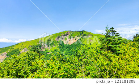 夏の四阿山・根子岳登山(中尾根コース:根子岳を望む) 夏の四阿山・根子岳登山(中尾根コース:根子岳を望む) 121181809