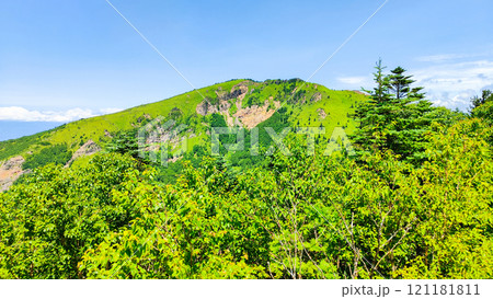 夏の四阿山・根子岳登山(中尾根コース:根子岳を望む) 夏の四阿山・根子岳登山(中尾根コース:根子岳を望む) 121181811