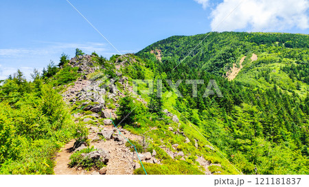 夏の四阿山・根子岳登山(中尾根コース) 夏の四阿山・根子岳登山(中尾根コース) 121181837