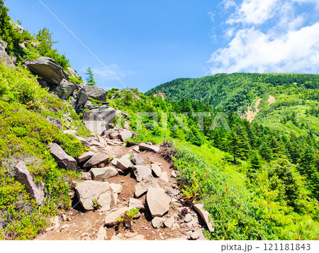 夏の四阿山・根子岳登山(中尾根コース) 夏の四阿山・根子岳登山(中尾根コース) 121181843
