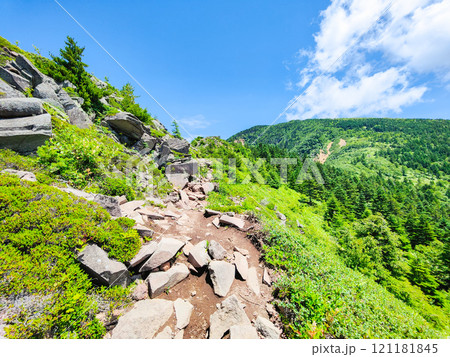 夏の四阿山・根子岳登山(中尾根コース) 夏の四阿山・根子岳登山(中尾根コース) 121181845