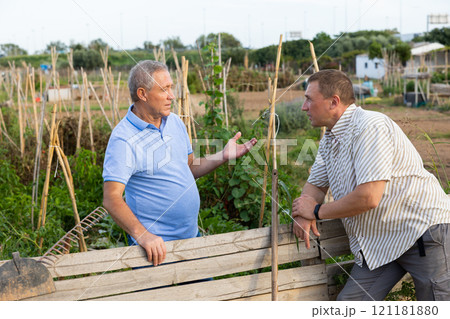 Two male farmers talking outside next to wooden fence on background with farm 121181880