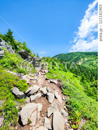 夏の四阿山・根子岳登山(中尾根コース) 夏の四阿山・根子岳登山(中尾根コース) 121181903