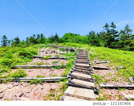 夏の四阿山・根子岳登山（山頂手前の木段：中尾根・四阿高原・鳥居峠コース） 121181908
