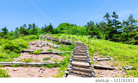 夏の四阿山・根子岳登山（山頂手前の木段：中尾根・四阿高原・鳥居峠コース） 121181911