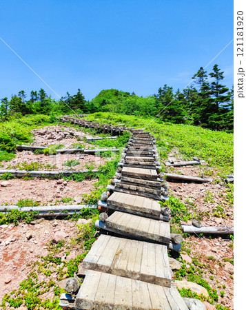 夏の四阿山・根子岳登山(山頂手前の木段:中尾根・四阿高原・鳥居峠コース) 夏の四阿山・根子岳登山(山頂手前の木段:中尾根・四阿高原・鳥居峠コース) 121181920