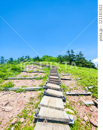 夏の四阿山・根子岳登山(山頂手前の木段:中尾根・四阿高原・鳥居峠コース) 夏の四阿山・根子岳登山(山頂手前の木段:中尾根・四阿高原・鳥居峠コース) 121181922