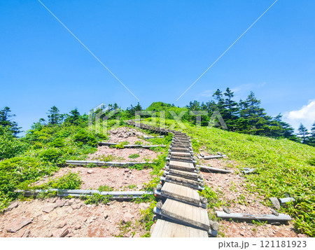 夏の四阿山・根子岳登山(山頂手前の木段:中尾根・四阿高原・鳥居峠コース) 夏の四阿山・根子岳登山(山頂手前の木段:中尾根・四阿高原・鳥居峠コース) 121181923