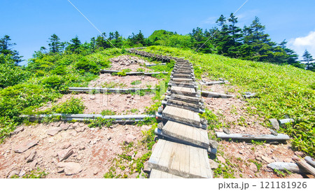 夏の四阿山・根子岳登山(山頂手前の木段:中尾根・四阿高原・鳥居峠コース) 夏の四阿山・根子岳登山(山頂手前の木段:中尾根・四阿高原・鳥居峠コース) 121181926