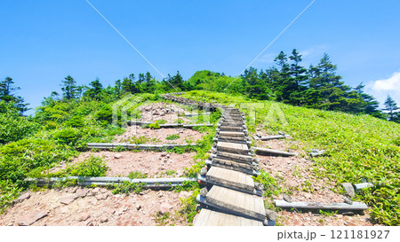 夏の四阿山・根子岳登山（山頂手前の木段：中尾根・四阿高原・鳥居峠コース） 121181927