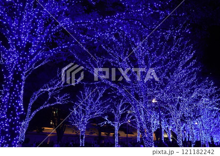 青いイルミネーション 121182242