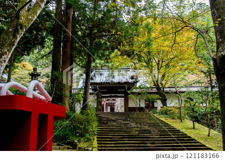 《最乗寺》彩られた山門のある風景（神奈川県南足柄市） 121183166