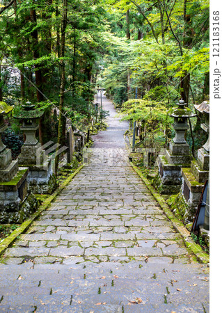 《最乗寺》石碑と新緑のある参道（神奈川県南足柄市） 121183168