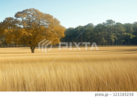 Golden Autumn Landscape with Solitary Tree and Forest Backdrop by Generative Ai Photo 121183238