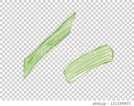 水彩風に描いたオーガニックで新鮮シンプルな青ネギ白ネギのベクターイラスト素材 121184955