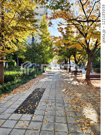 stone walkway in autumn park stone walkway in autumn park 121185039