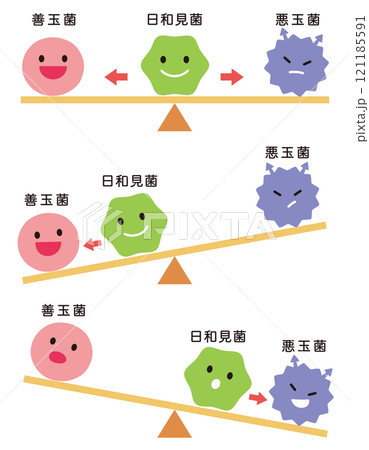 腸内細菌のバランス　腸内フローラ 121185591