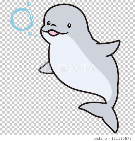 イルカ　シロイルカ　ベルーガ　海洋生物　水族館 121185675