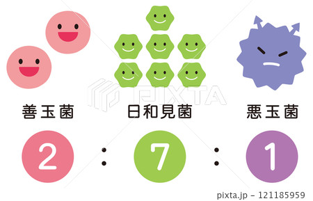 腸内細菌のバランス　腸内フローラ 121185959