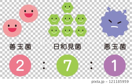 腸内細菌のバランス　腸内フローラ 121185959
