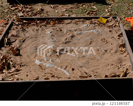 Sand pit for excavating simulated dinosaur fossils in a playground 121186587