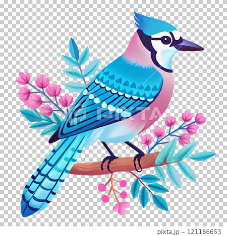 Most Beautiful Bird Species in the World 121186653