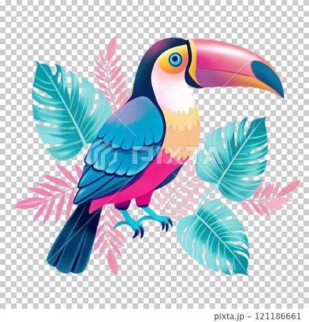 Most Beautiful Bird Species in the World 121186661