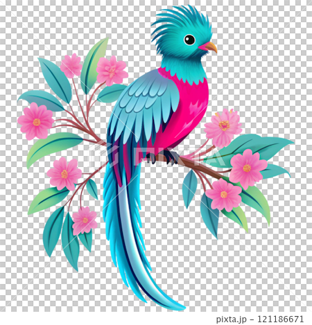 Most Beautiful Bird Species in the World 121186671