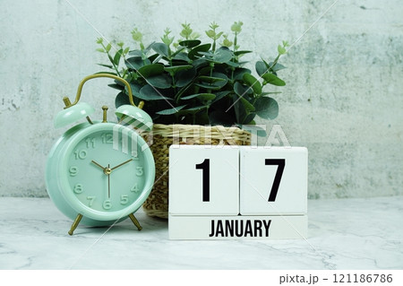 Wooden Calendar Showing the Date of January 17th. Day 17 of January month 121186786