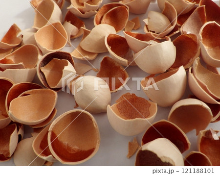 銀杏の殻 121188101