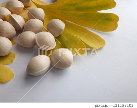 黄色いイチョウの葉と銀杏 121188102