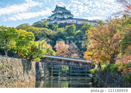 和歌山県和歌山市　紅葉の季節　快晴の和歌山城天守と御橋廊下 121188459