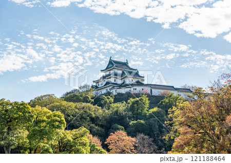 和歌山県和歌山市　紅葉の季節　快晴の和歌山城天守 121188464