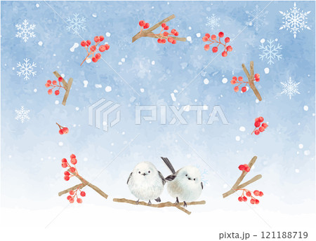 水彩で描いた冬の赤い木の実とシマエナガ 121188719