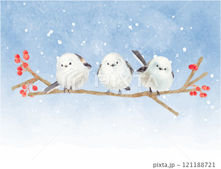 水彩で描いた冬の赤い木の実とシマエナガのイラスト素材 [121188721