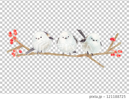 水彩で描いた冬の赤い木の実とシマエナガ 水彩で描いた冬の赤い木の実とシマエナガ 121188725