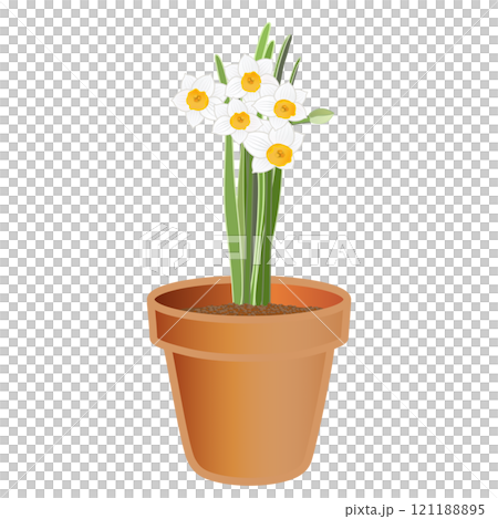 日本水仙の植木鉢のイラスト 日本水仙の植木鉢のイラスト 121188895