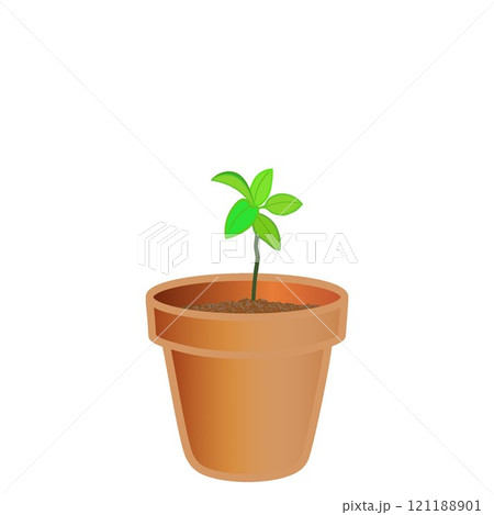 苗の植えられた植木鉢のイラスト 121188901