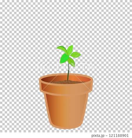 種植幼苗的花盆的插圖 種植幼苗的花盆的插圖 121188901