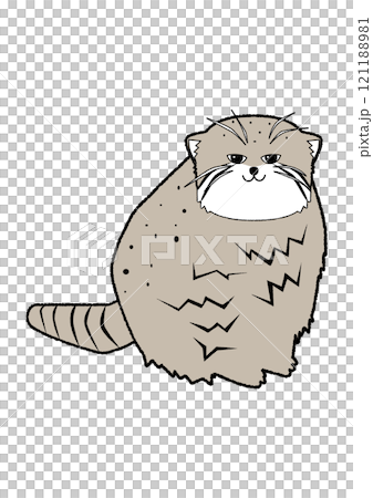 Animal: Pallas's cat Animal: Pallas's cat 121188981