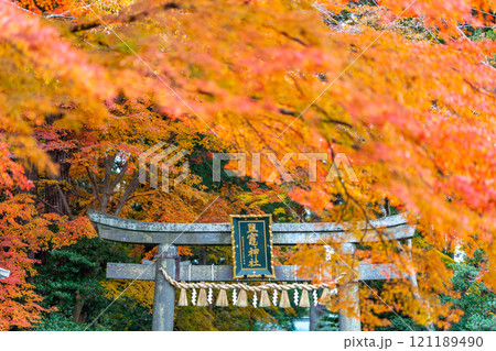 塩釜神社 鳥居 紅葉 秋 塩釜神社 鳥居 紅葉 秋 121189490