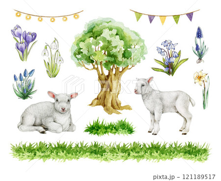 Small cute lamb, springtime flowers, tree, grass element set on white background. Hand drawn sheep with natural elements illustration. Perfect for Easter decor, countryside inspired projects 121189517