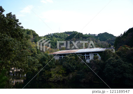 鎌北湖（埼玉県入間郡毛呂山町） 121189547