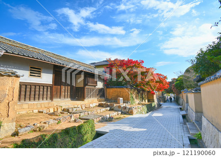 【山口県下関市】城下町長府の古江小路の風景 121190060
