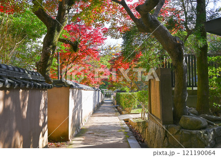 【山口県下関市】城下町長府の横枕小路 121190064