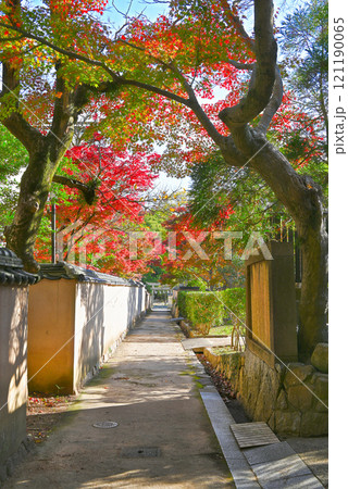 【山口県下関市】城下町長府の横枕小路と紅葉 121190065