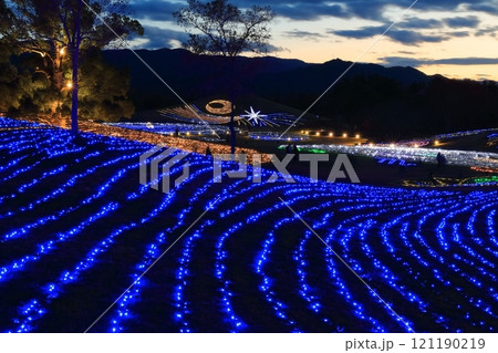 【香川県】冬の国営讃岐まんのう公園 (イルミネーション) 【香川県】冬の国営讃岐まんのう公園 (イルミネーション) 121190219