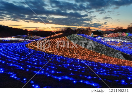 【香川県】冬の国営讃岐まんのう公園 (イルミネーション) 【香川県】冬の国営讃岐まんのう公園 (イルミネーション) 121190221