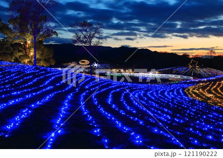 【香川県】冬の国営讃岐まんのう公園 (イルミネーション) 121190222