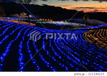 【香川県】冬の国営讃岐まんのう公園 (イルミネーション) 121190223
